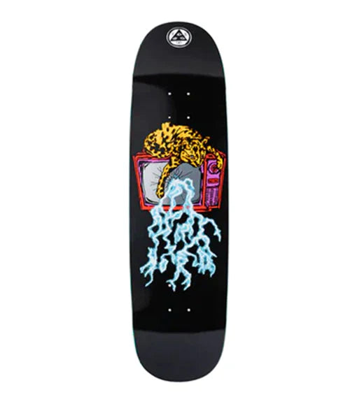 Welcome Deck Nora Static on Sphynx Black 8.8" bottom view