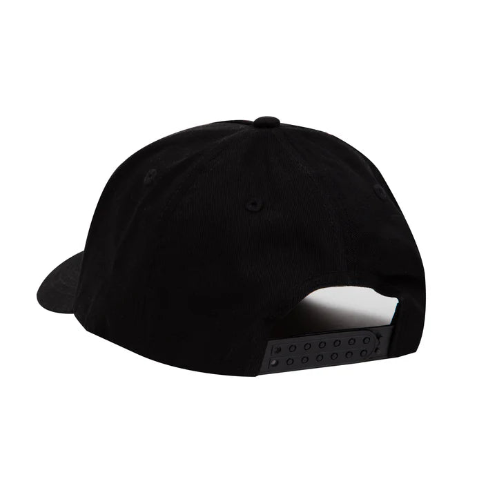 Frog Snapback Hat Dino Logo Black back view