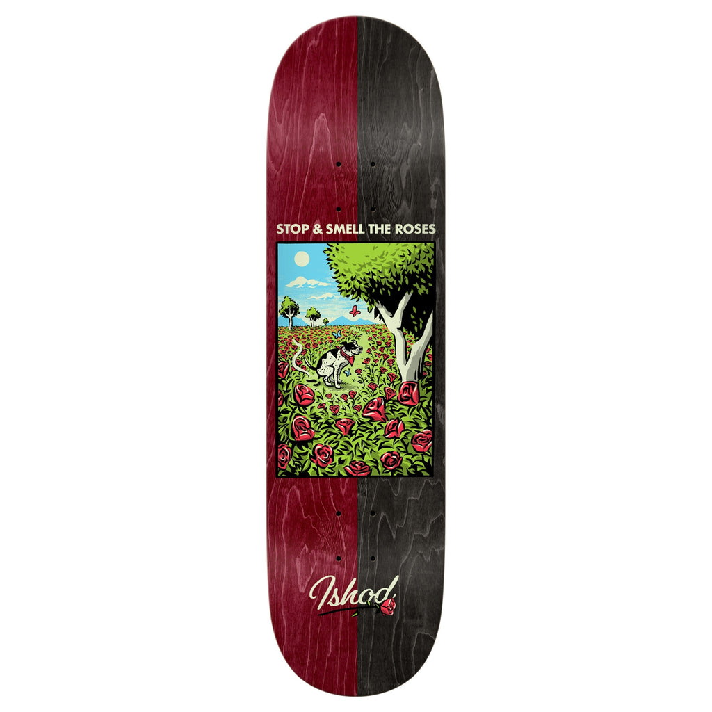 Real Deck Ishod Bright Side 8.38" bottom graphic